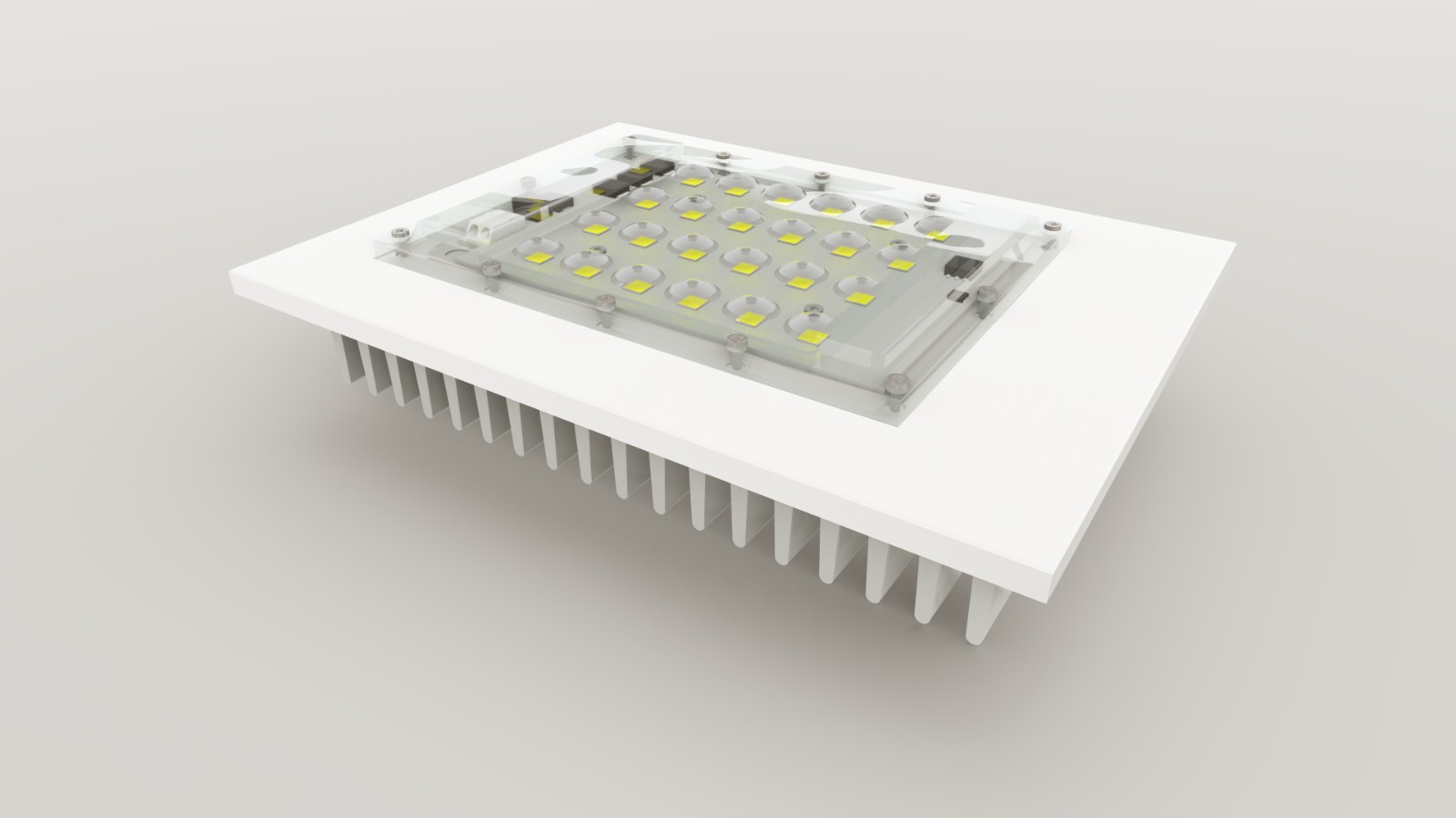 WhatsApp Image 2023-11-13 at 08.01.36 (2)